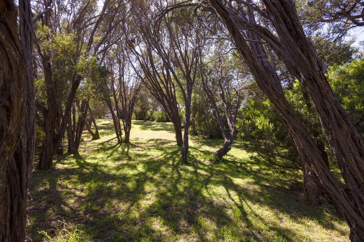 17 Fairway Drive, Rye - Thumbnail 2