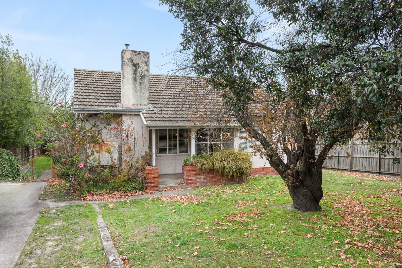 4 High Street Road, Ashburton, Ashburton - Thumbnail 4