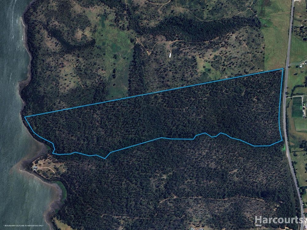 2147B East Tamar Highway, MOUNT DIRECTION, TAS 7252, Mount Direction - Thumbnail 2