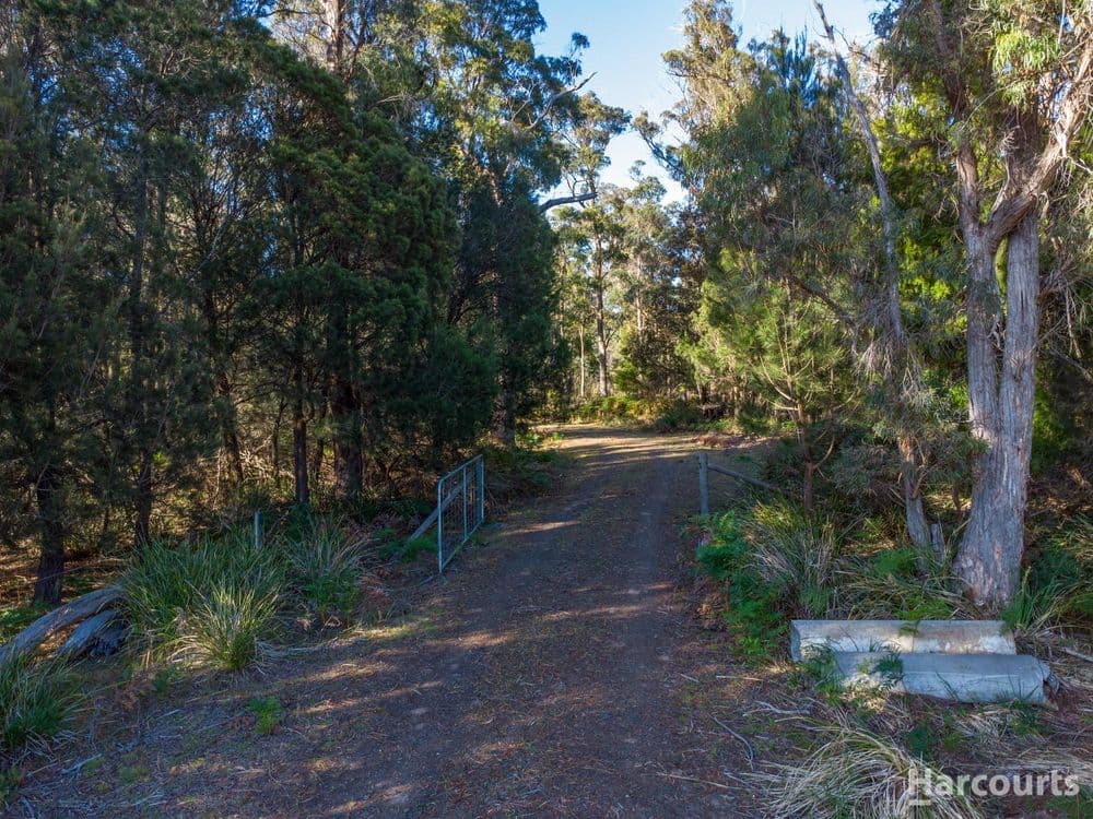 2147B East Tamar Highway, MOUNT DIRECTION, TAS 7252, Mount Direction - Thumbnail 5