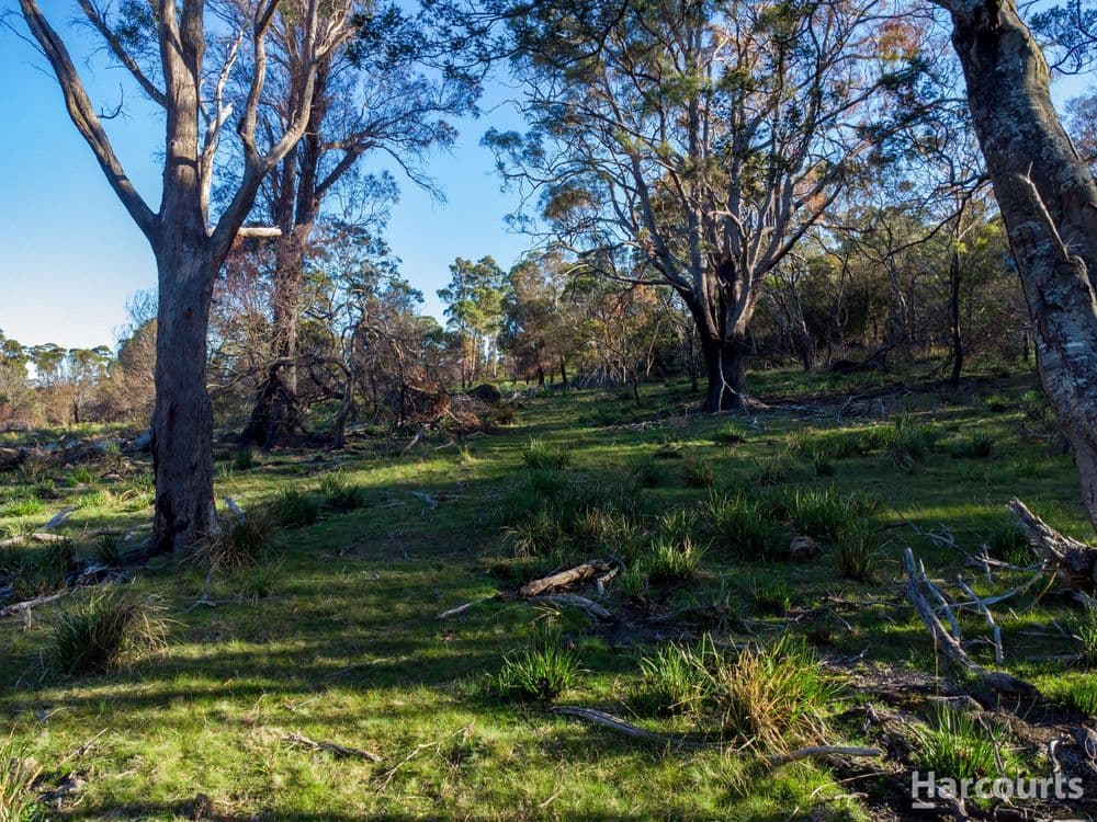 2147B East Tamar Highway, MOUNT DIRECTION, TAS 7252, Mount Direction - Thumbnail 6