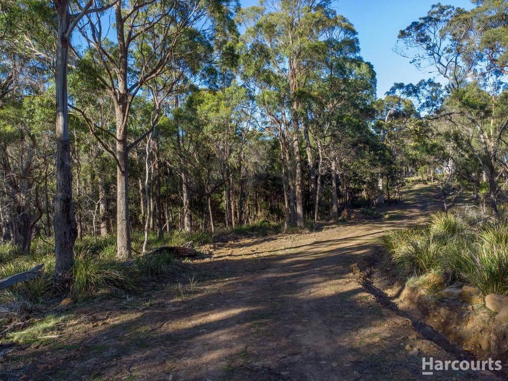 2147B East Tamar Highway, MOUNT DIRECTION, TAS 7252, Mount Direction - Thumbnail 7