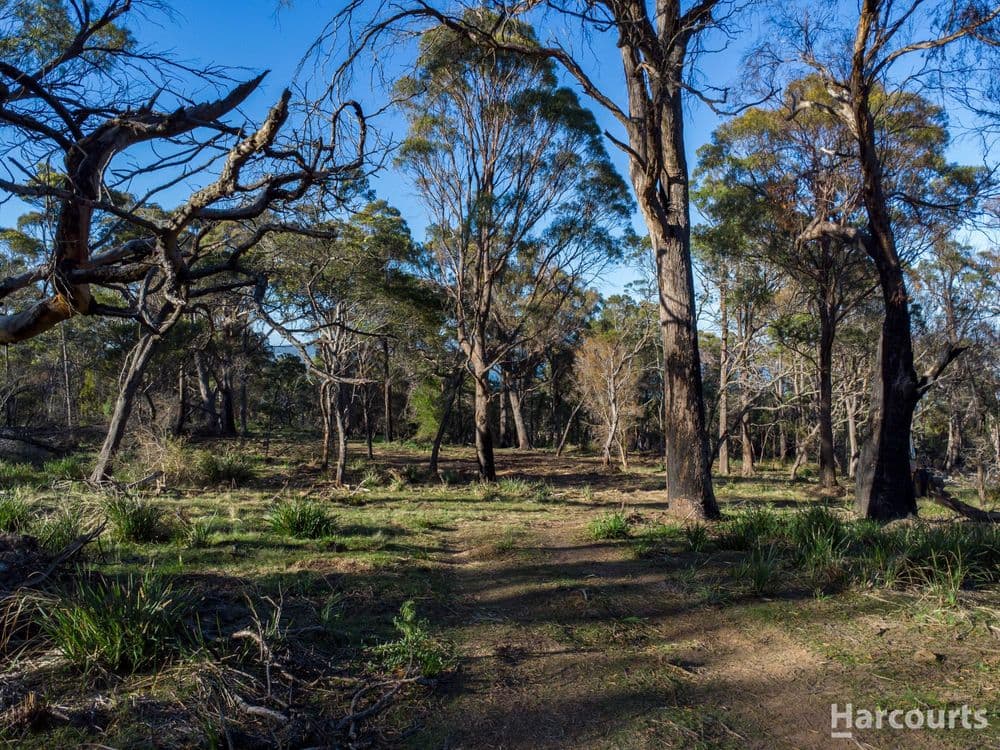2147B East Tamar Highway, MOUNT DIRECTION, TAS 7252, Mount Direction - Thumbnail 8