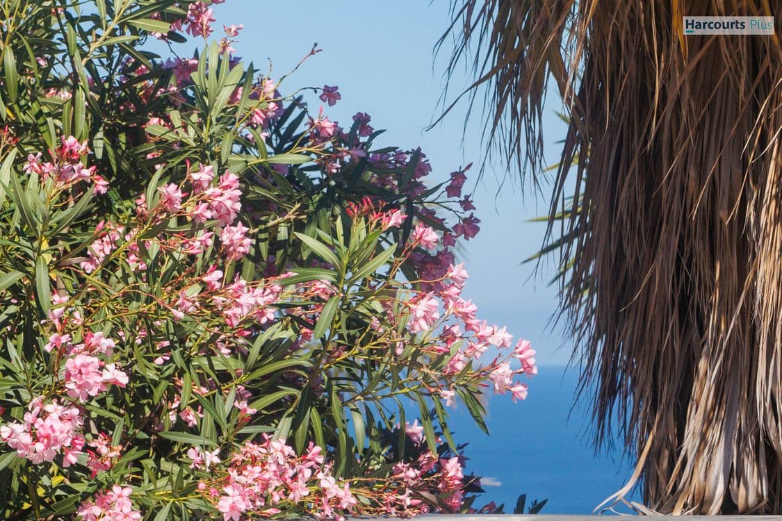 1/261 The Cove Road, HALLETT COVE, SA 5158, Hallett Cove - Thumbnail 2