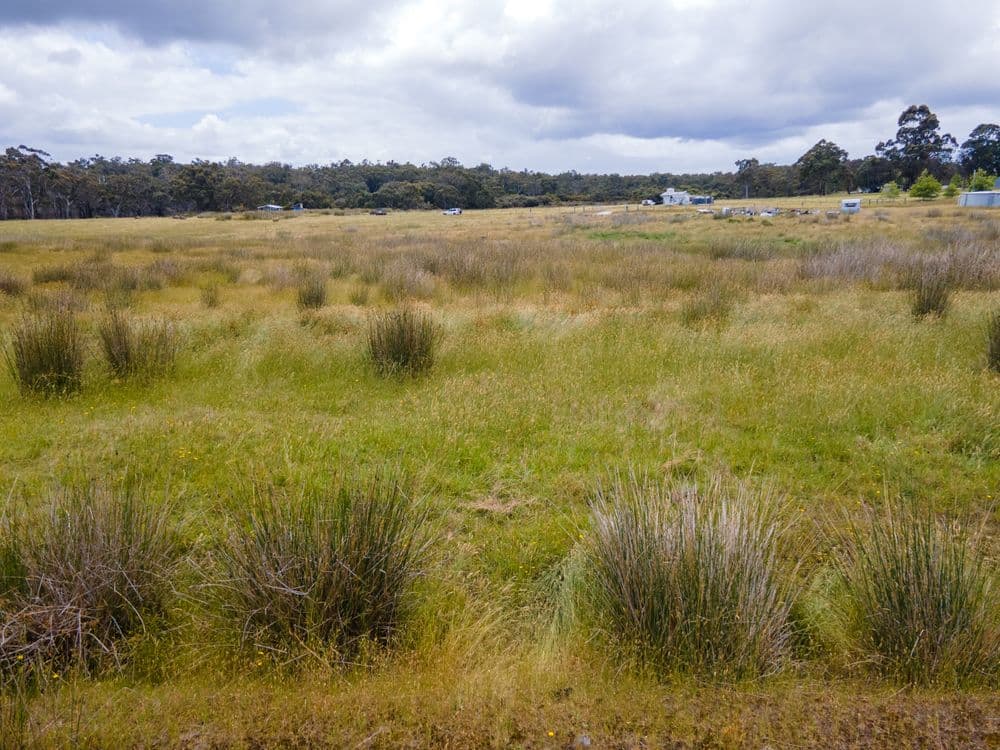 108/ Tammar Terrace (Crowea), NORTHCLIFFE, WA 6262, Northcliffe - Thumbnail 5
