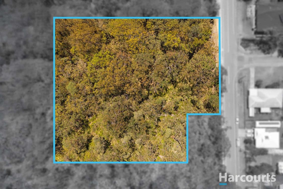 20 Clydebank Road, Rathmines, NSW 2283, Rathmines - Thumbnail 4