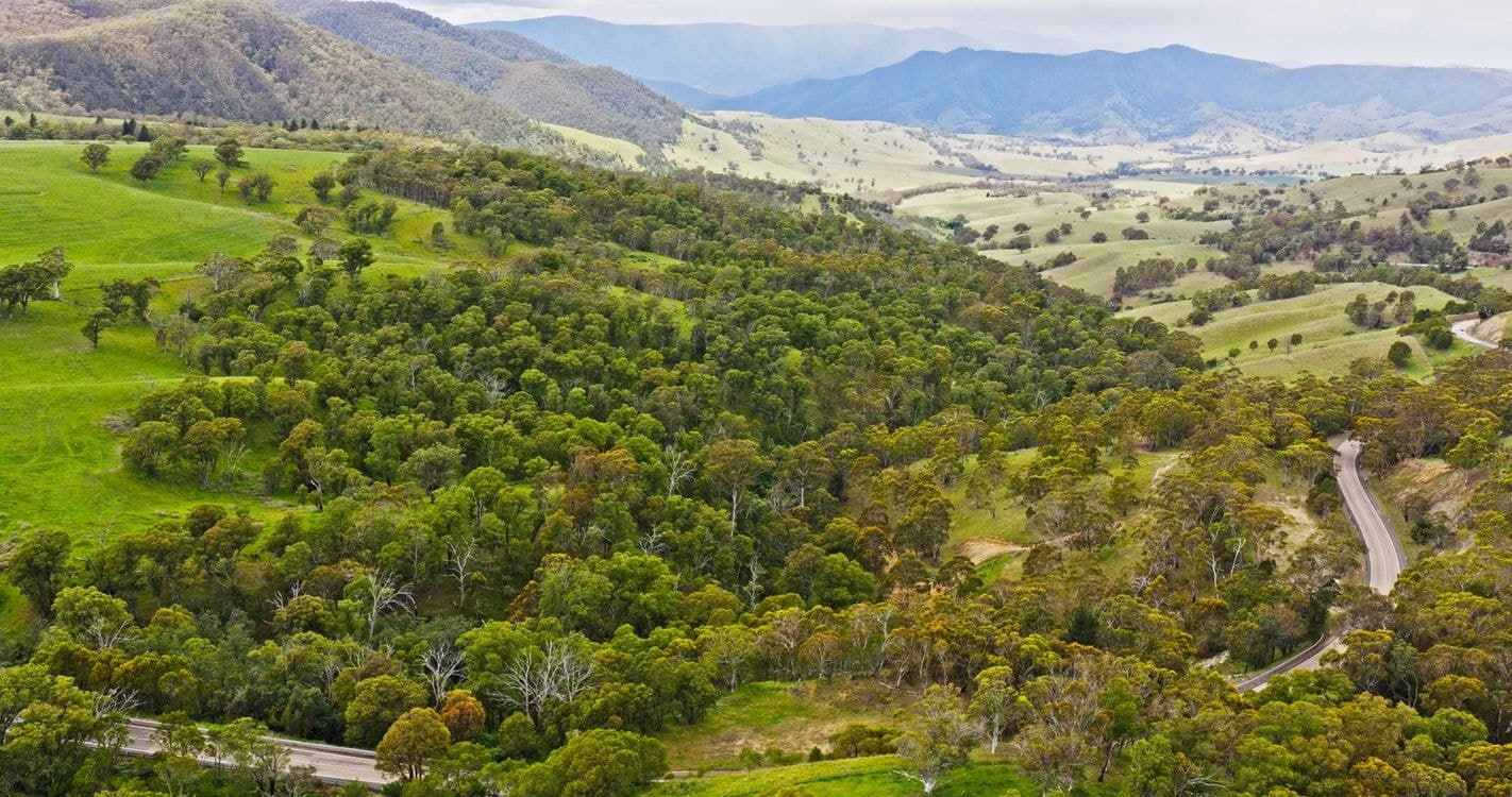 Lot 2 - 289 Tongio Gap Road, TONGIO, VIC 3896, Tongio - Thumbnail 2