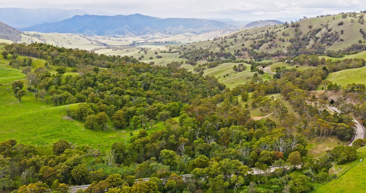 Lot 2 - 289 Tongio Gap Road, TONGIO, VIC 3896, Tongio - Thumbnail 3