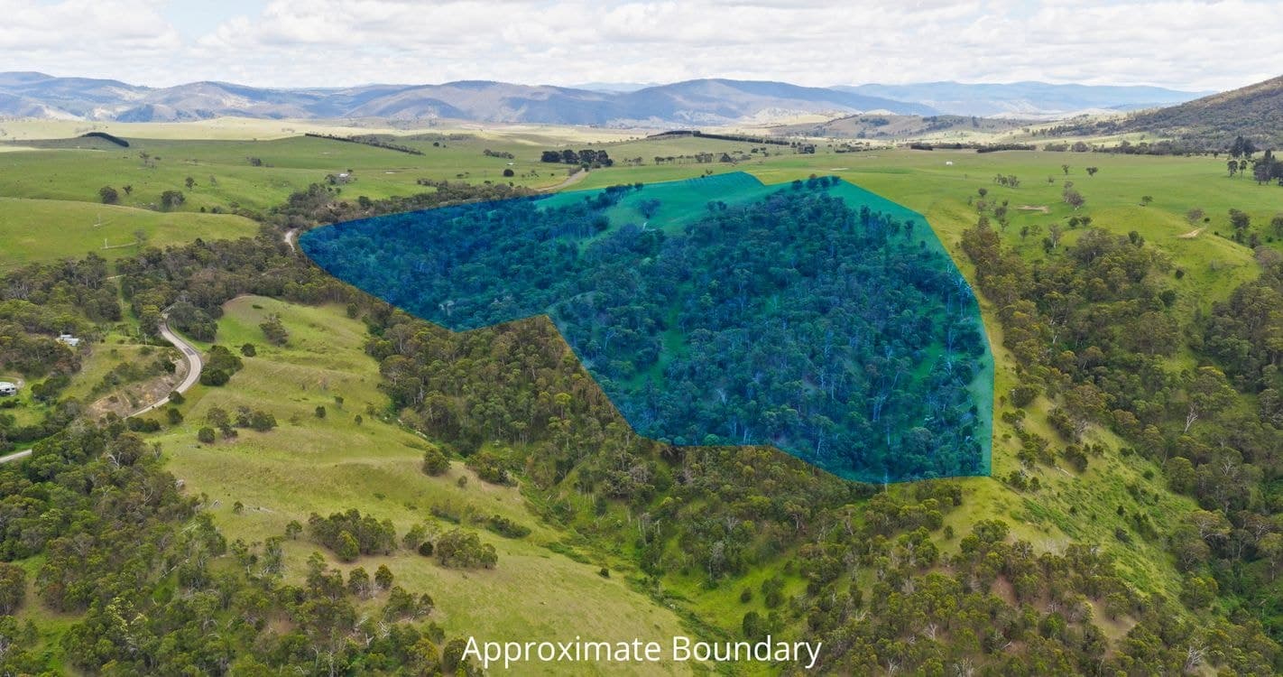 Lot 2 - 289 Tongio Gap Road, TONGIO, VIC 3896, Tongio - Thumbnail 5