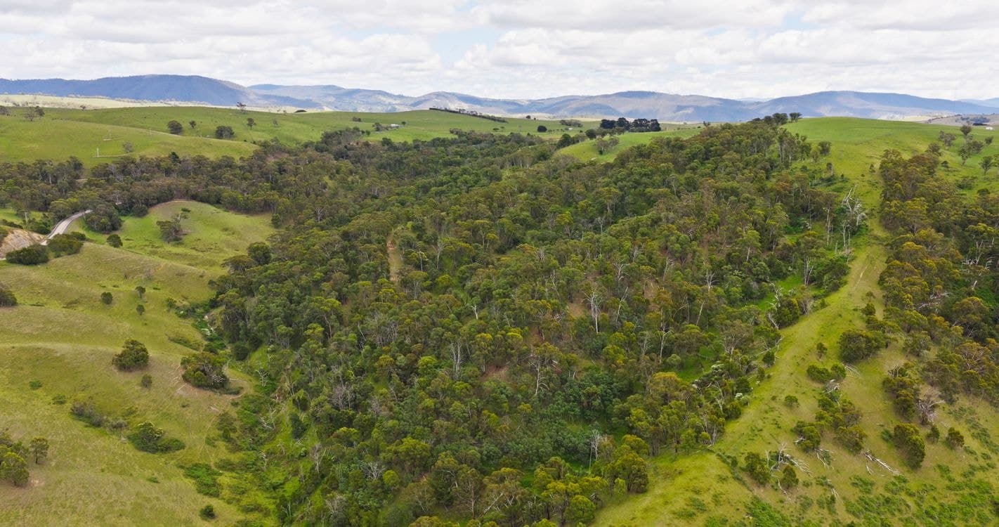 Lot 2 - 289 Tongio Gap Road, TONGIO, VIC 3896, Tongio - Thumbnail 7