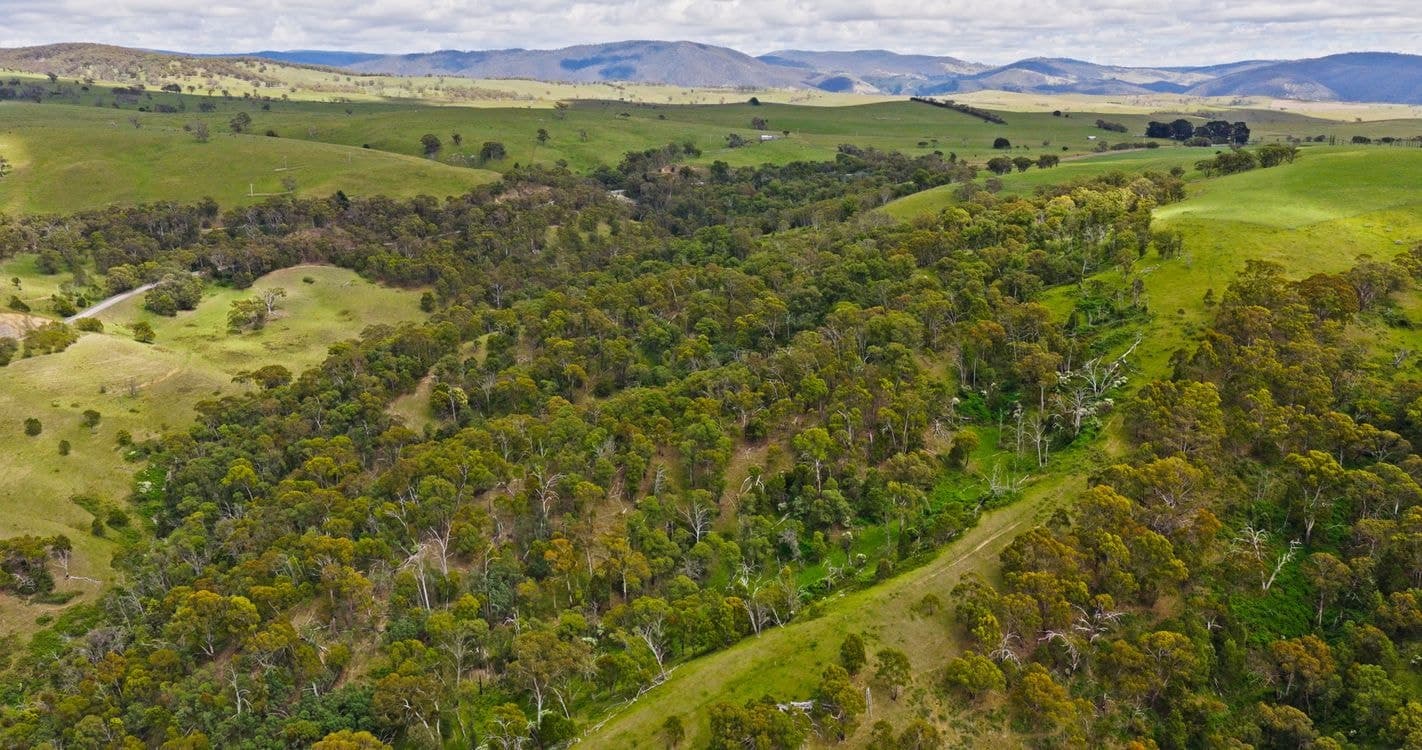 Lot 2 - 289 Tongio Gap Road, TONGIO, VIC 3896, Tongio - Thumbnail 8