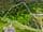 101 Crest Hill Drive, WONGAWALLAN, QLD 4210, Wongawallan - Image 1