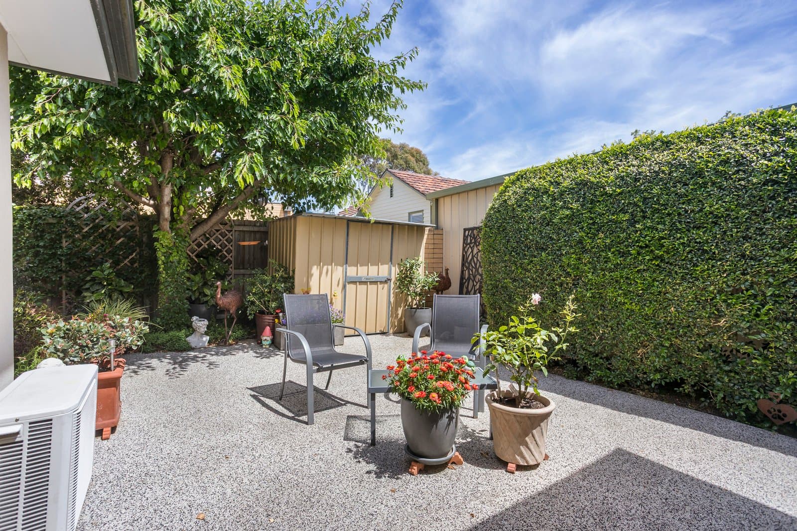 22 Robb Street, Spotswood, Spotswood - Thumbnail 6