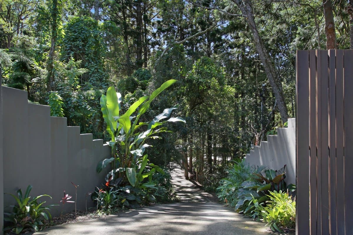 501 Tallebudgera Connection Road, Currumbin Valley QLD 4223, Currumbin Valley Property Image - Thumbnail 8