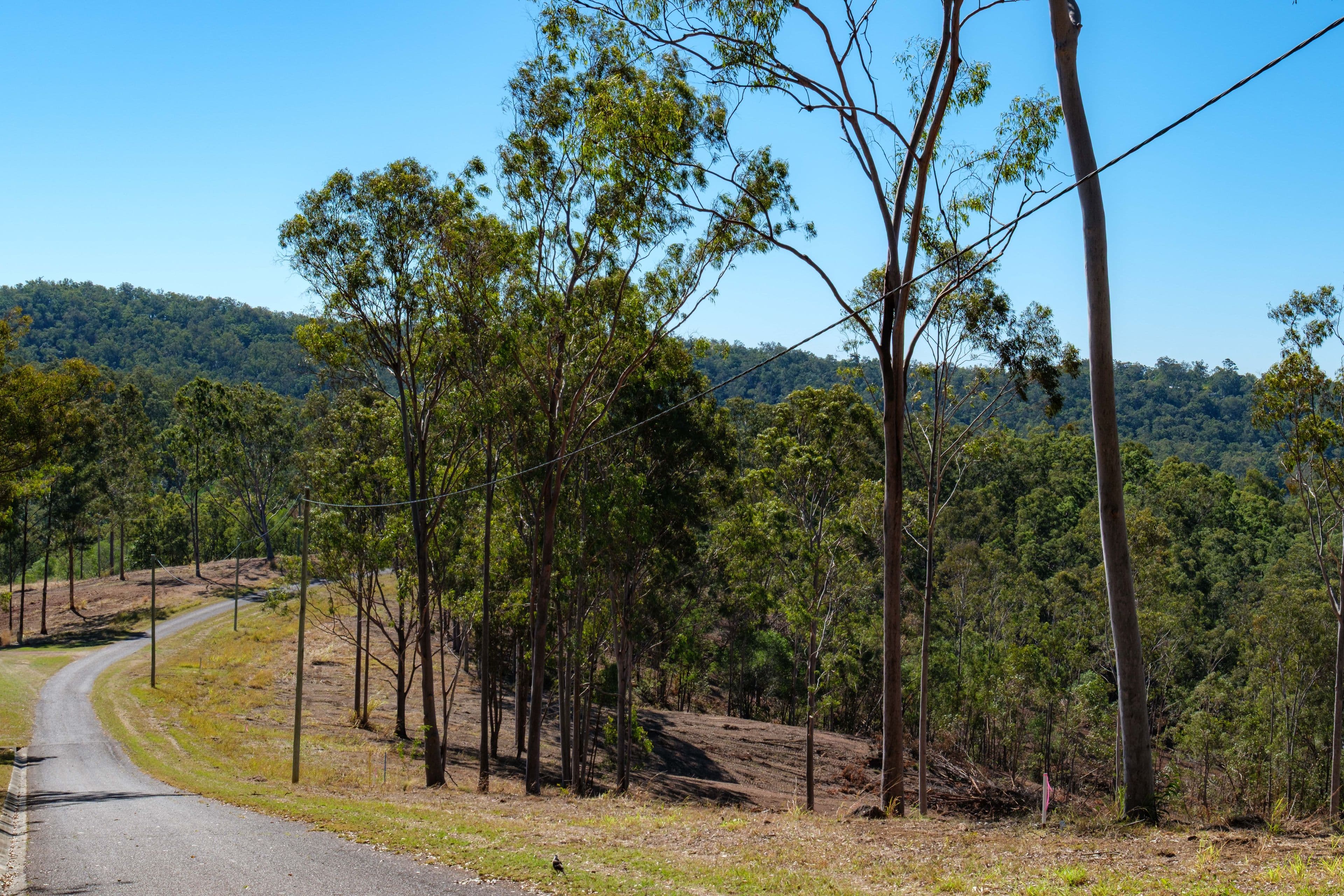960 Glastonbury Road , Glastonbury QLD 4570, Glastonbury - Thumbnail 6