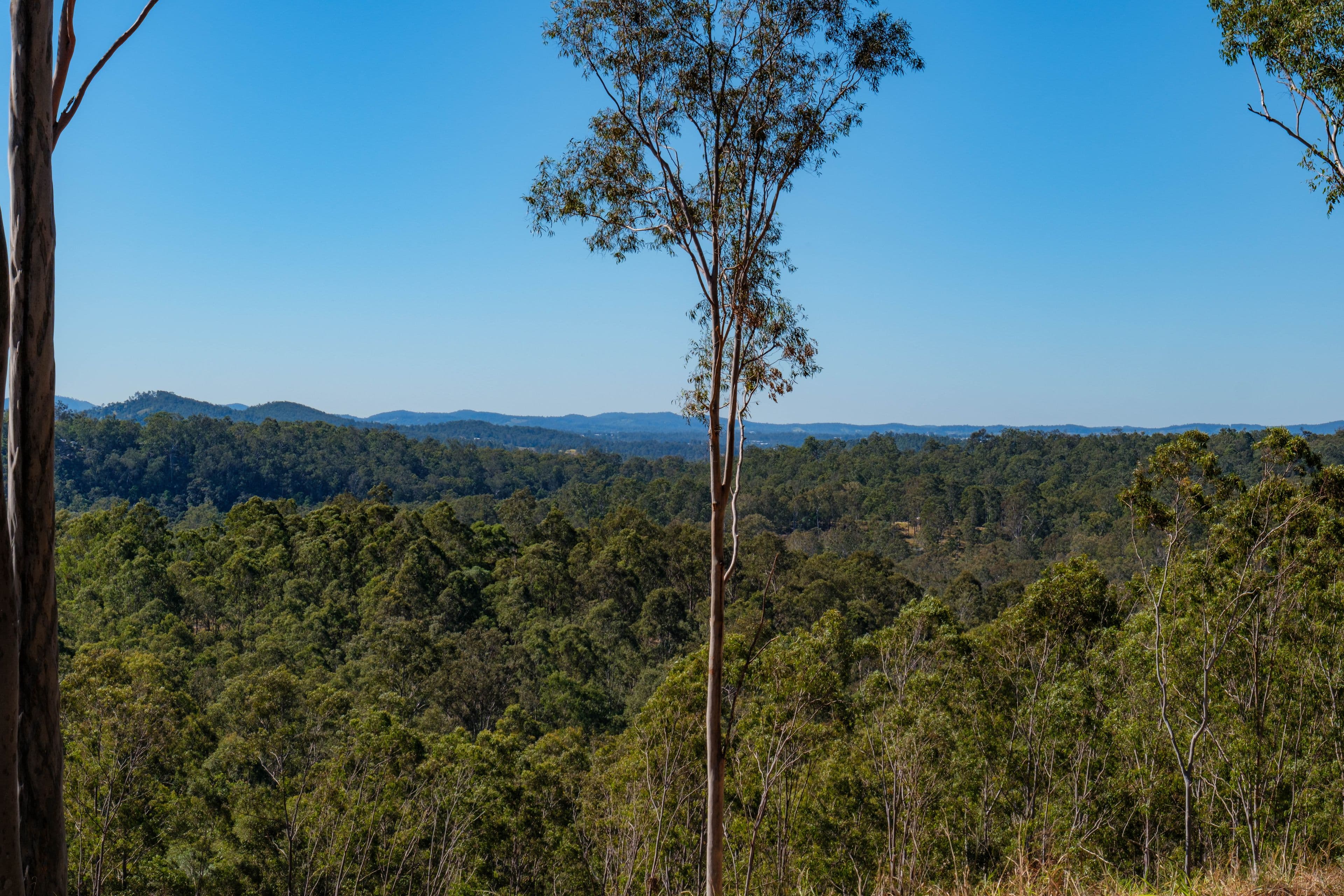 960 Glastonbury Road , Glastonbury QLD 4570, Glastonbury - Thumbnail 8