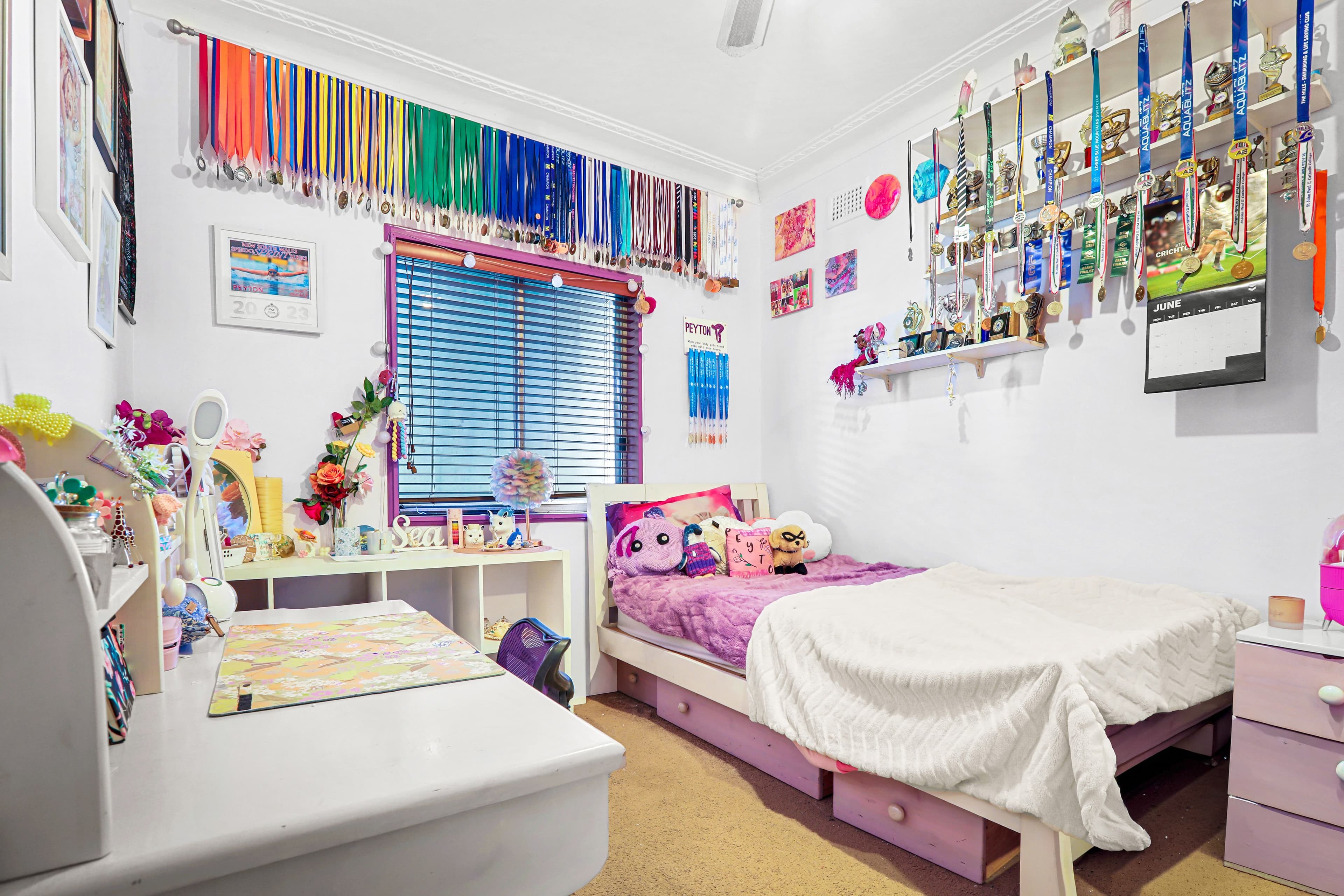 13 Dagmar Crescent , Blacktown NSW 2148, Blacktown - Thumbnail 3
