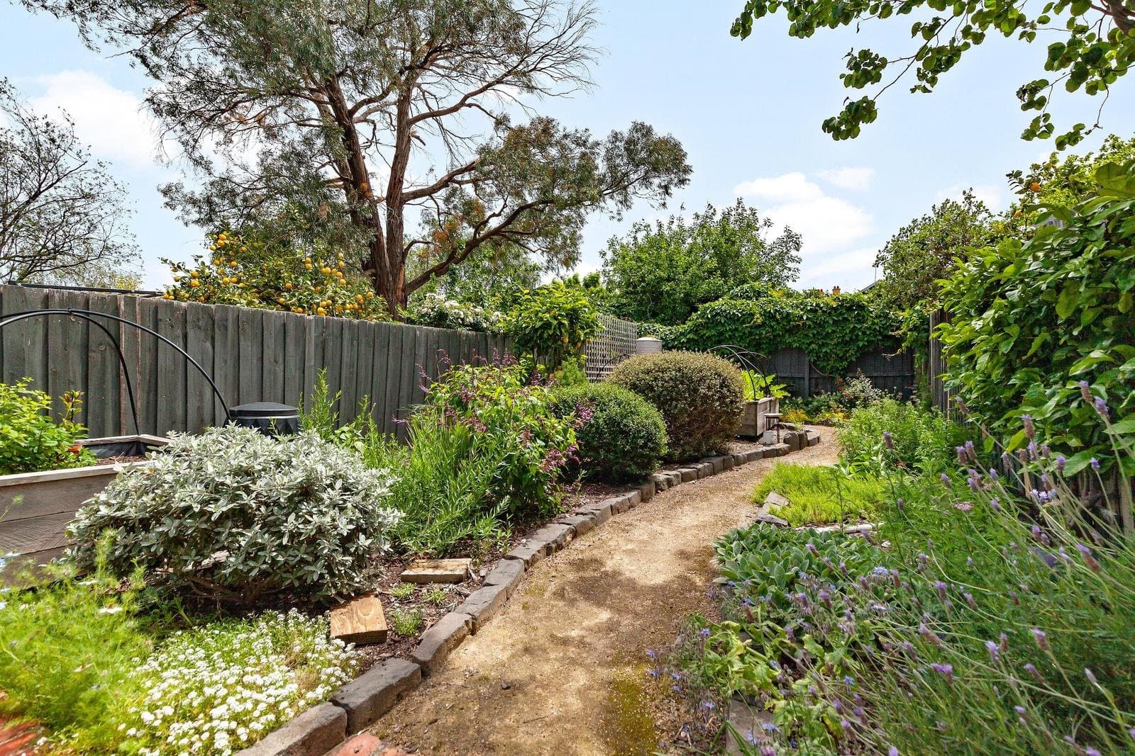 58 Harold Street, Thornbury VIC 3071, Thornbury - Thumbnail 4
