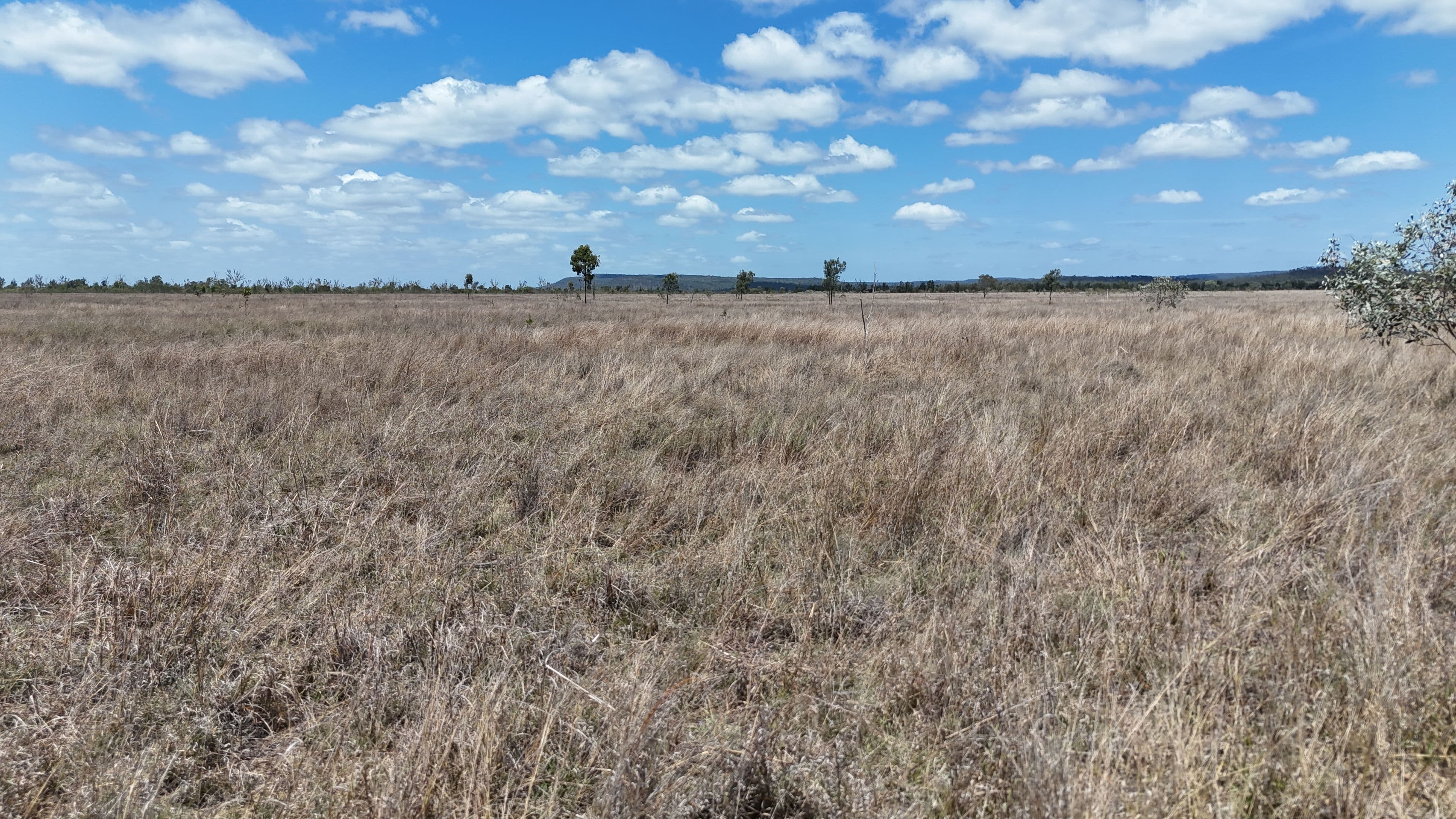 781 Spring Creek Road , Coppabella QLD 4741, Coppabella - Thumbnail 4