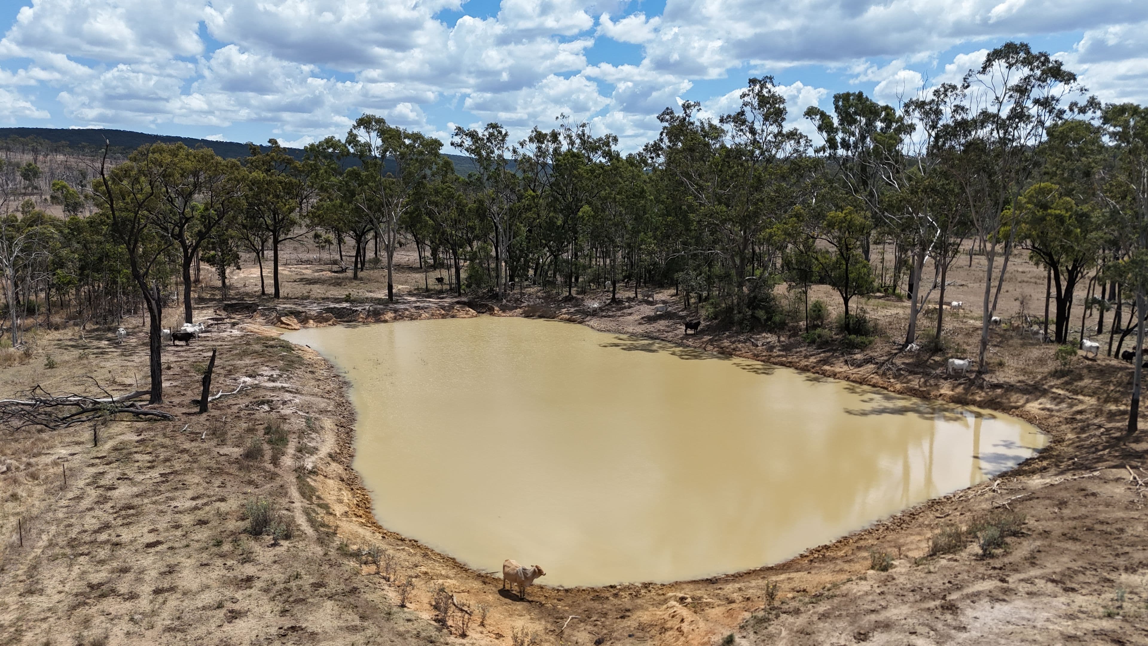 781 Spring Creek Road , Coppabella QLD 4741, Coppabella - Thumbnail 7