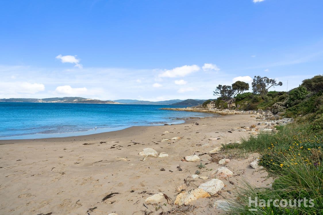1/167 Blessington Street, SOUTH ARM, TAS 7022, South Arm - Thumbnail 6