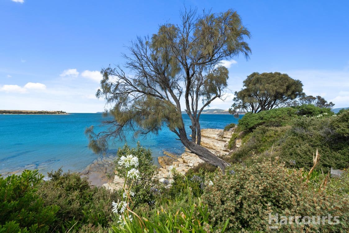1/167 Blessington Street, SOUTH ARM, TAS 7022, South Arm - Thumbnail 8
