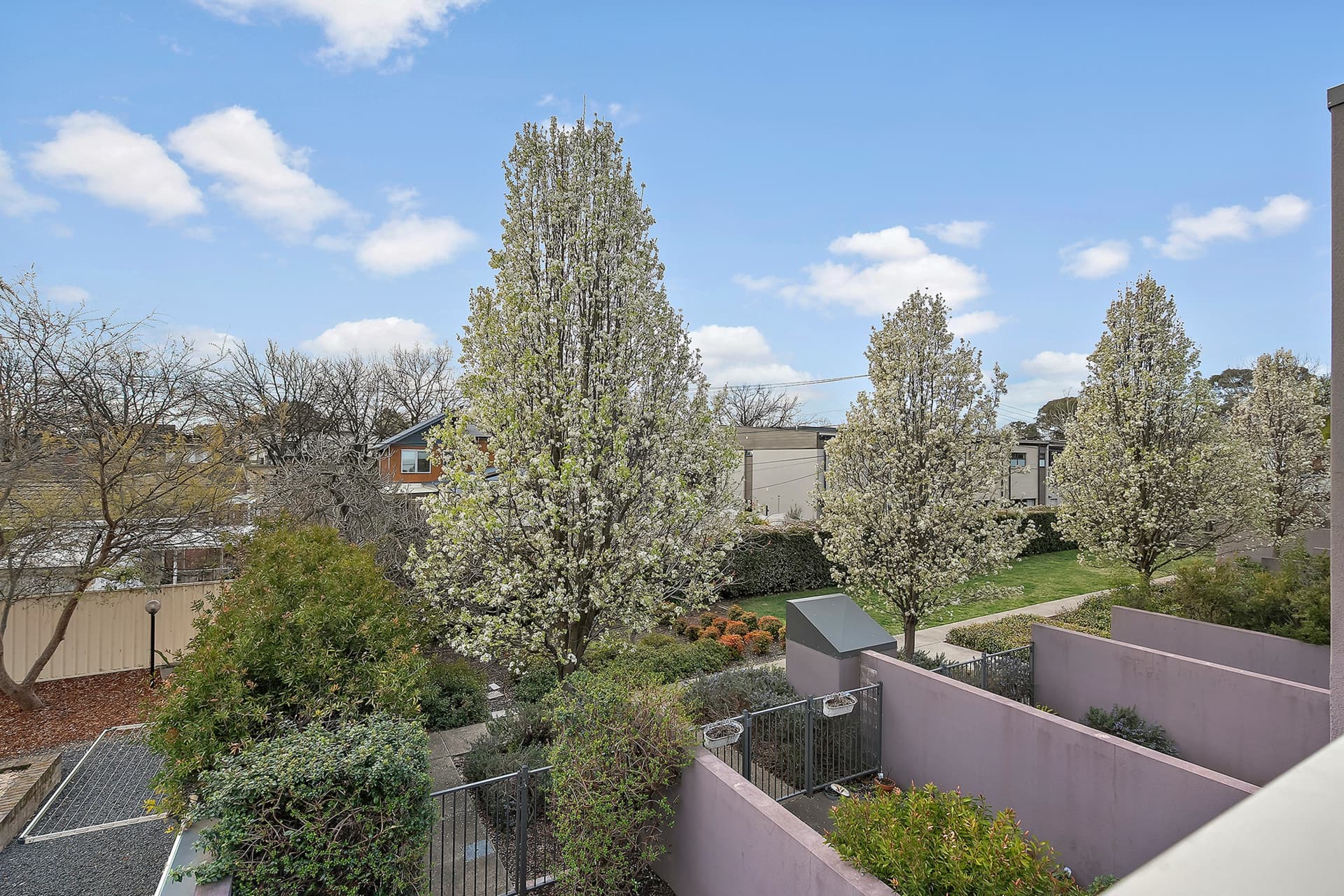 12/47 Majura Avenue, Dickson, Dickson - Thumbnail 3