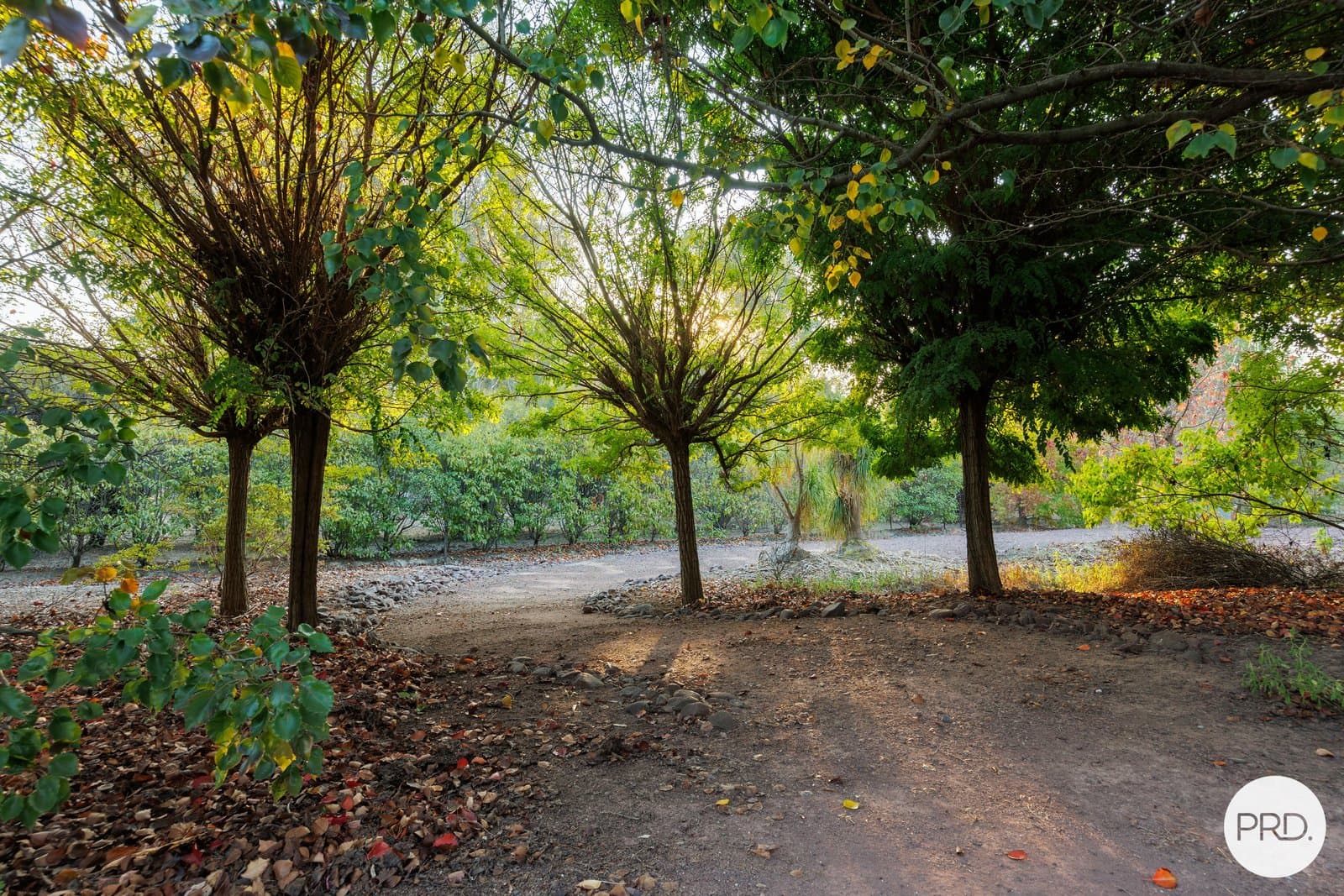 21 John Boyes Drive, BARANDUDA VIC 3691, Baranduda - Thumbnail 4