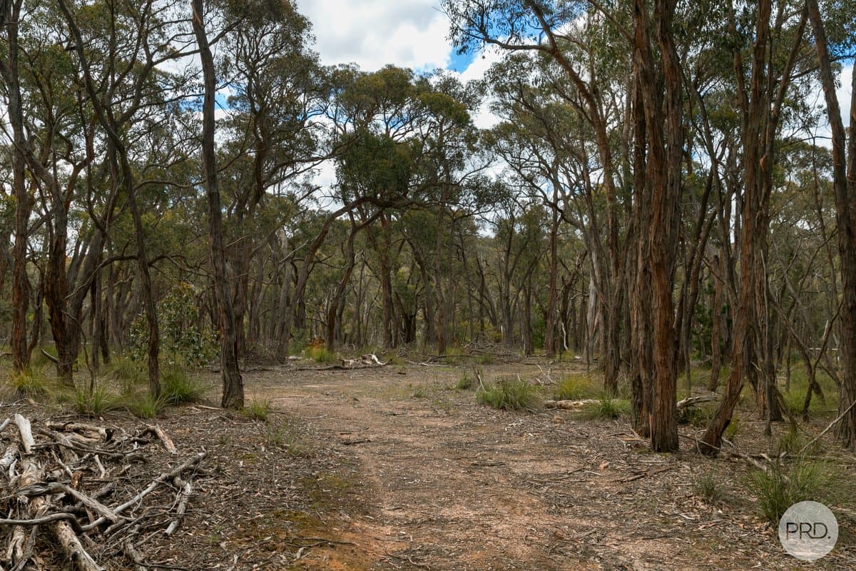 320 Ferrers Road, DEREEL VIC 3352, Dereel - Thumbnail 8
