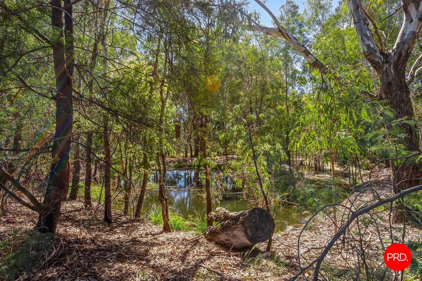 8 Gemmill Crescent, MOOROOPNA VIC 3629, Mooroopna - Thumbnail 5