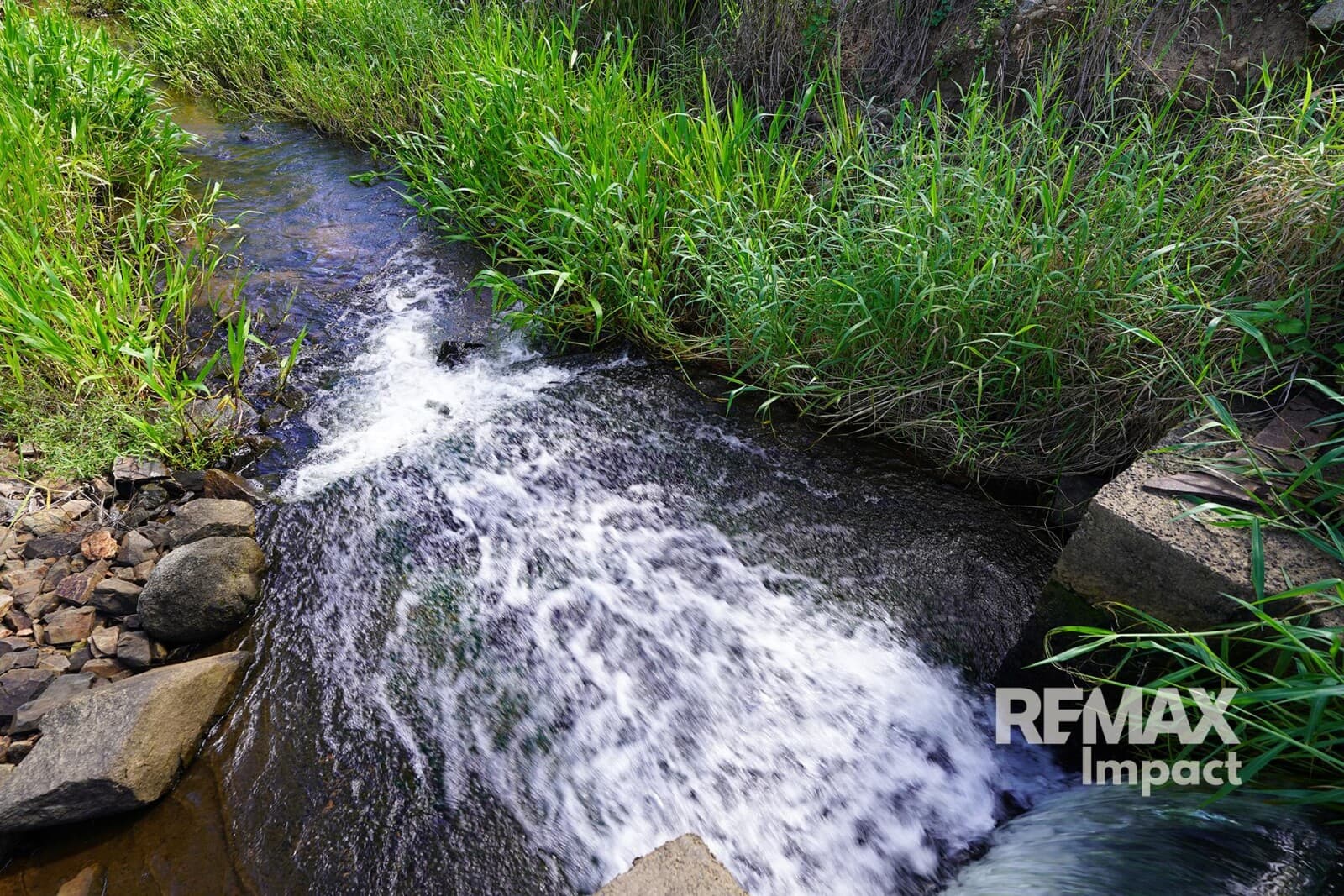 Lot 17 Springs Road Paddys Green QLD 4880, Paddys Green - Thumbnail 6
