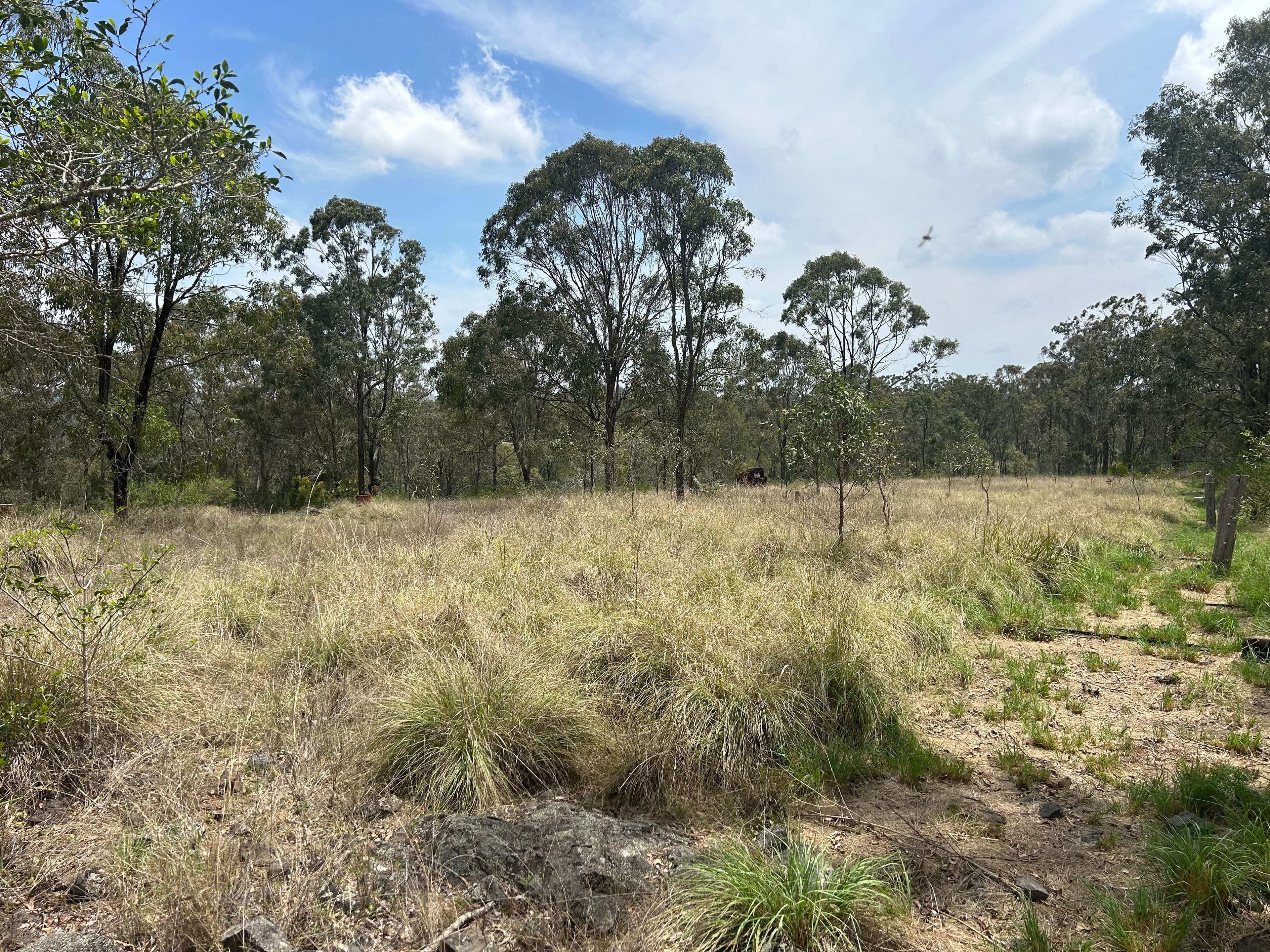 Lot 25 Cooyar Rangemore Road , Cooyar QLD 4402, Cooyar - Thumbnail 2