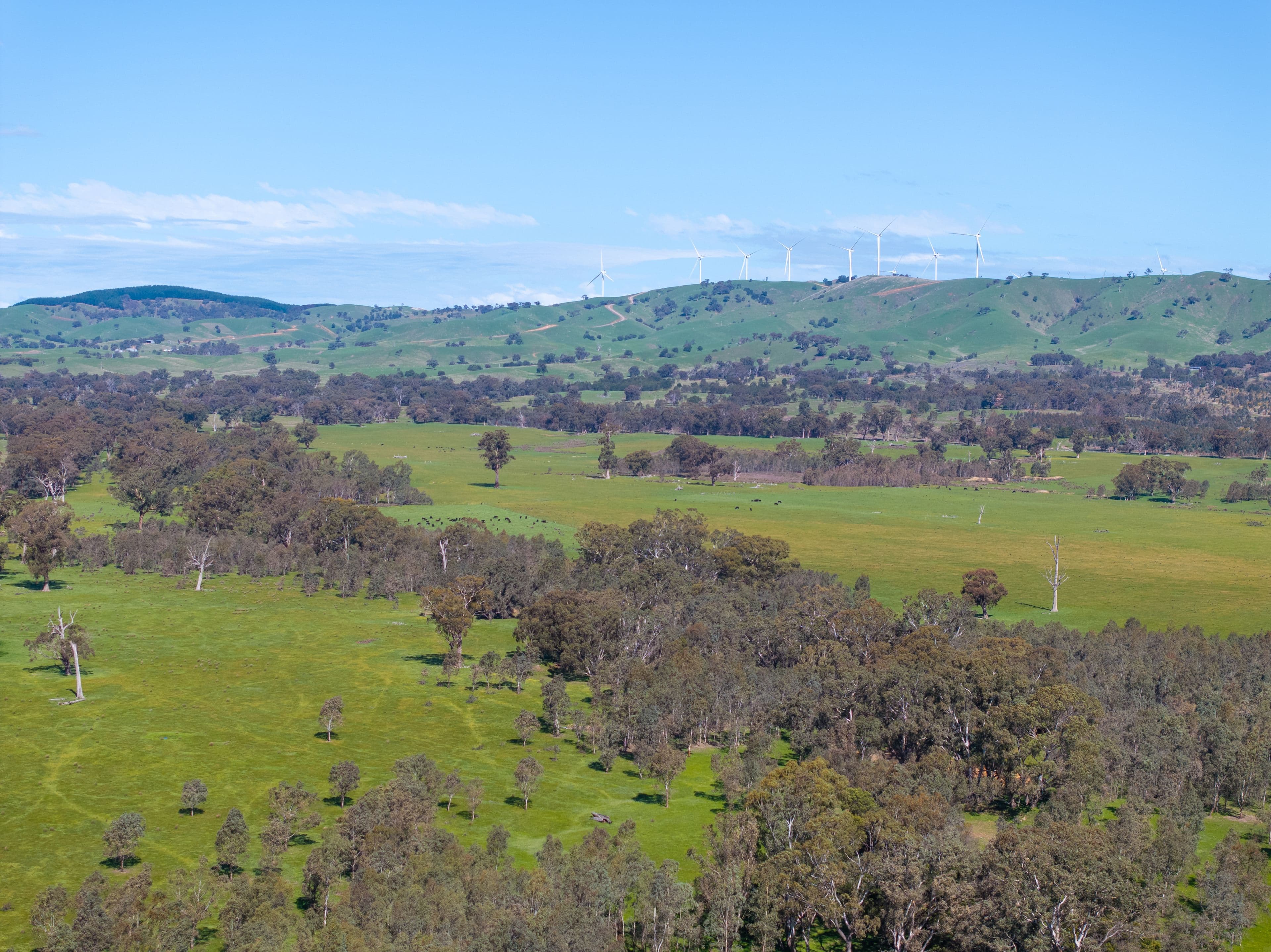 100 Wales Road , Whiteheads Creek VIC 3660, Whiteheads Creek - Thumbnail 3