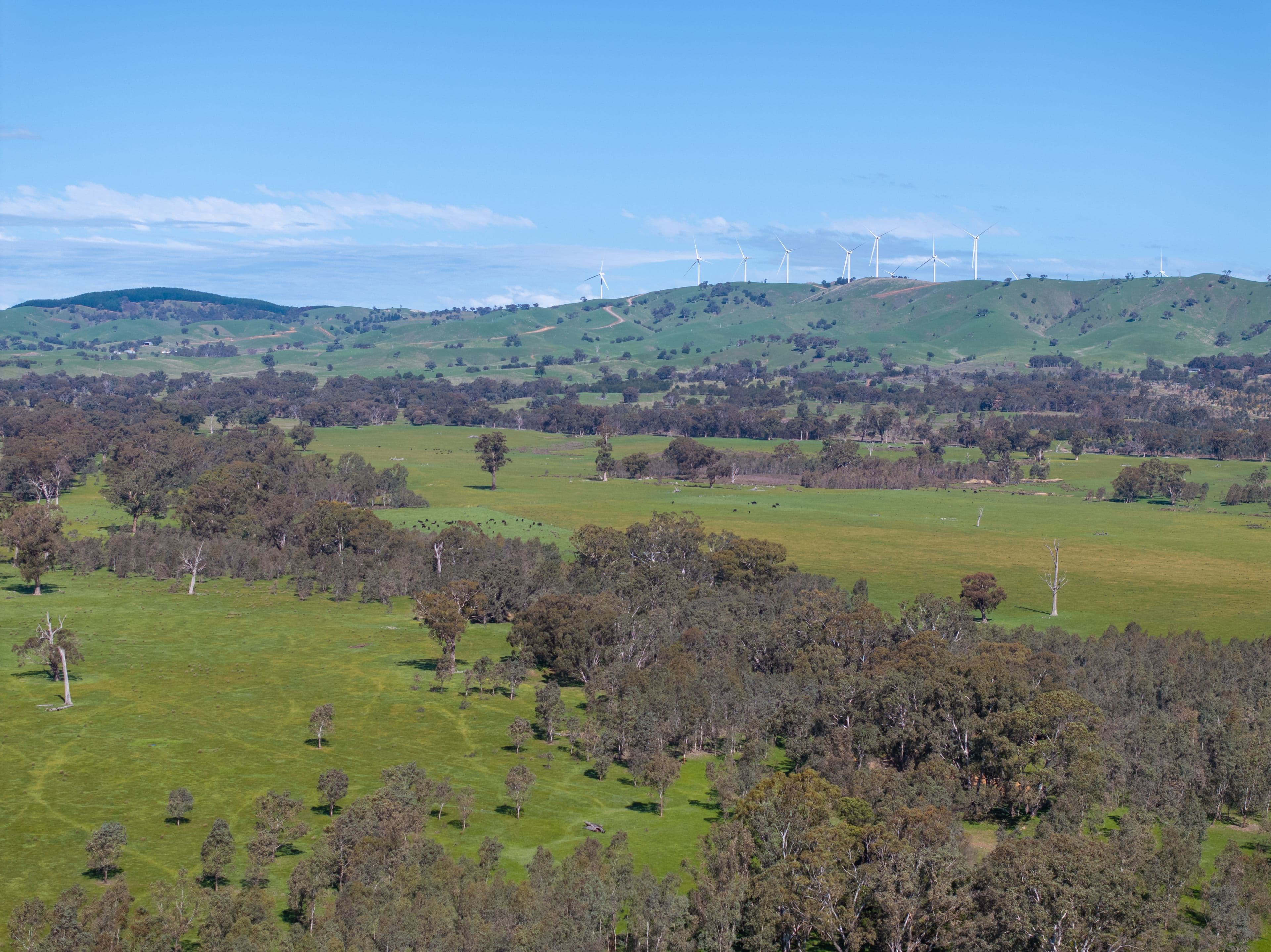 100 Wales Road , Whiteheads Creek VIC 3660, Whiteheads Creek - Thumbnail 4