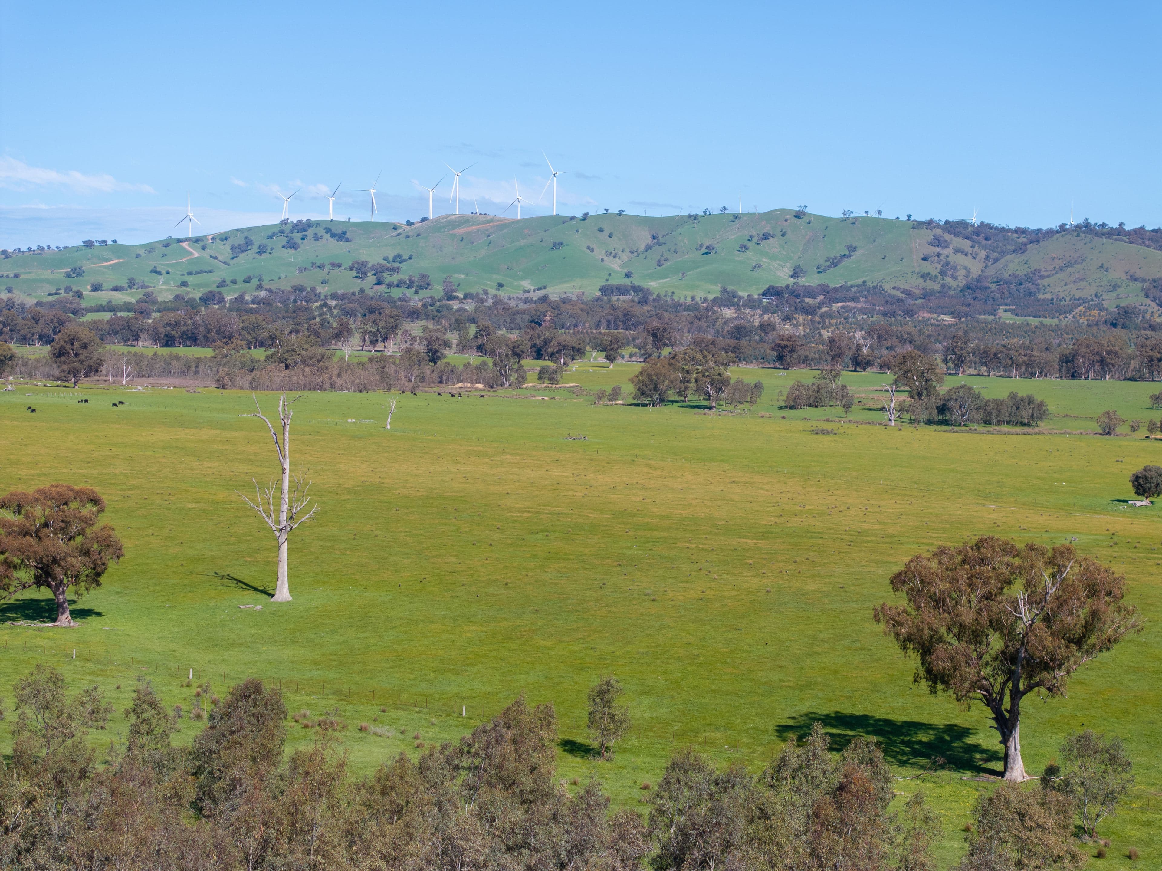 100 Wales Road , Whiteheads Creek VIC 3660, Whiteheads Creek - Thumbnail 5