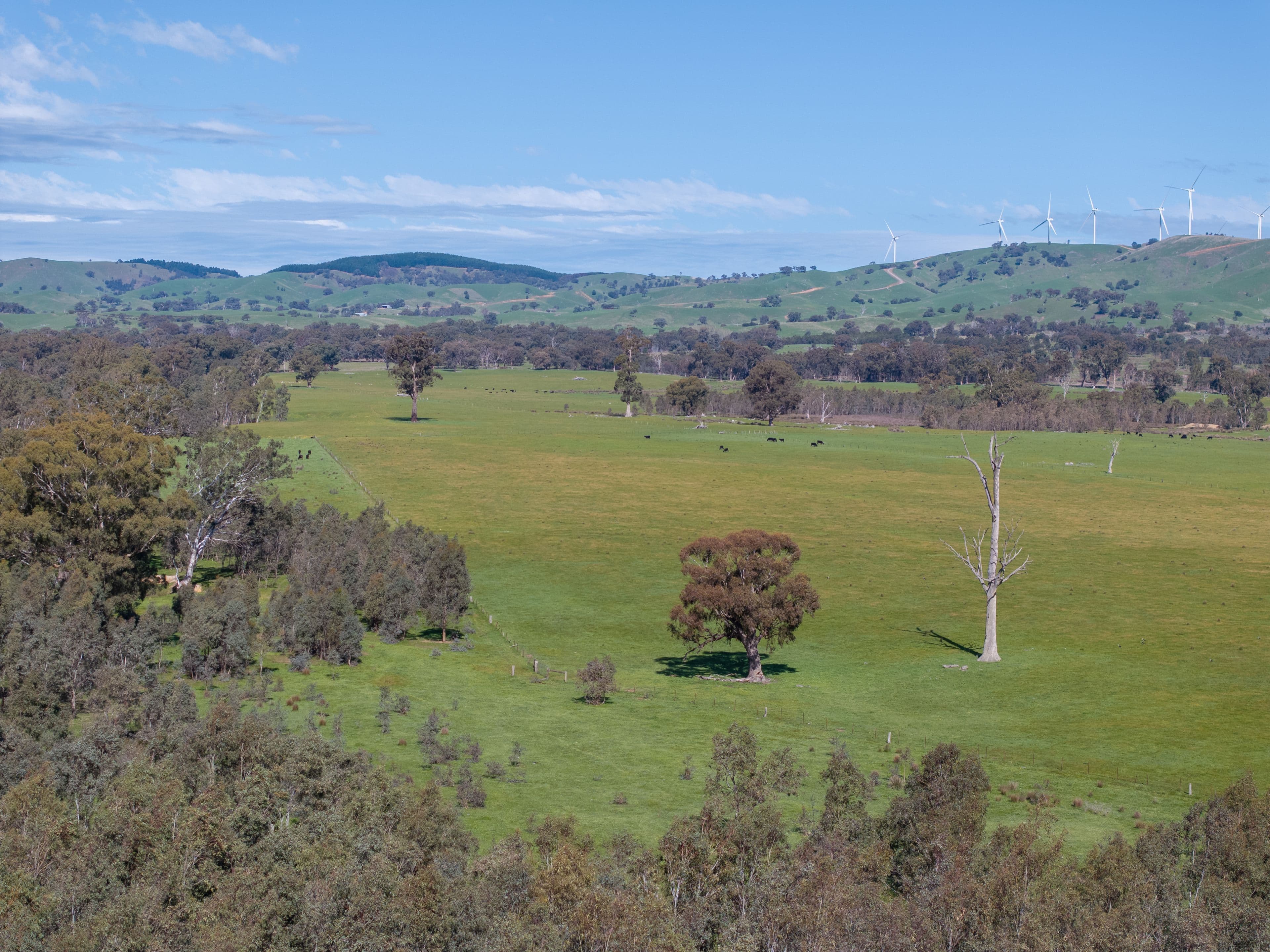 100 Wales Road , Whiteheads Creek VIC 3660, Whiteheads Creek - Thumbnail 6