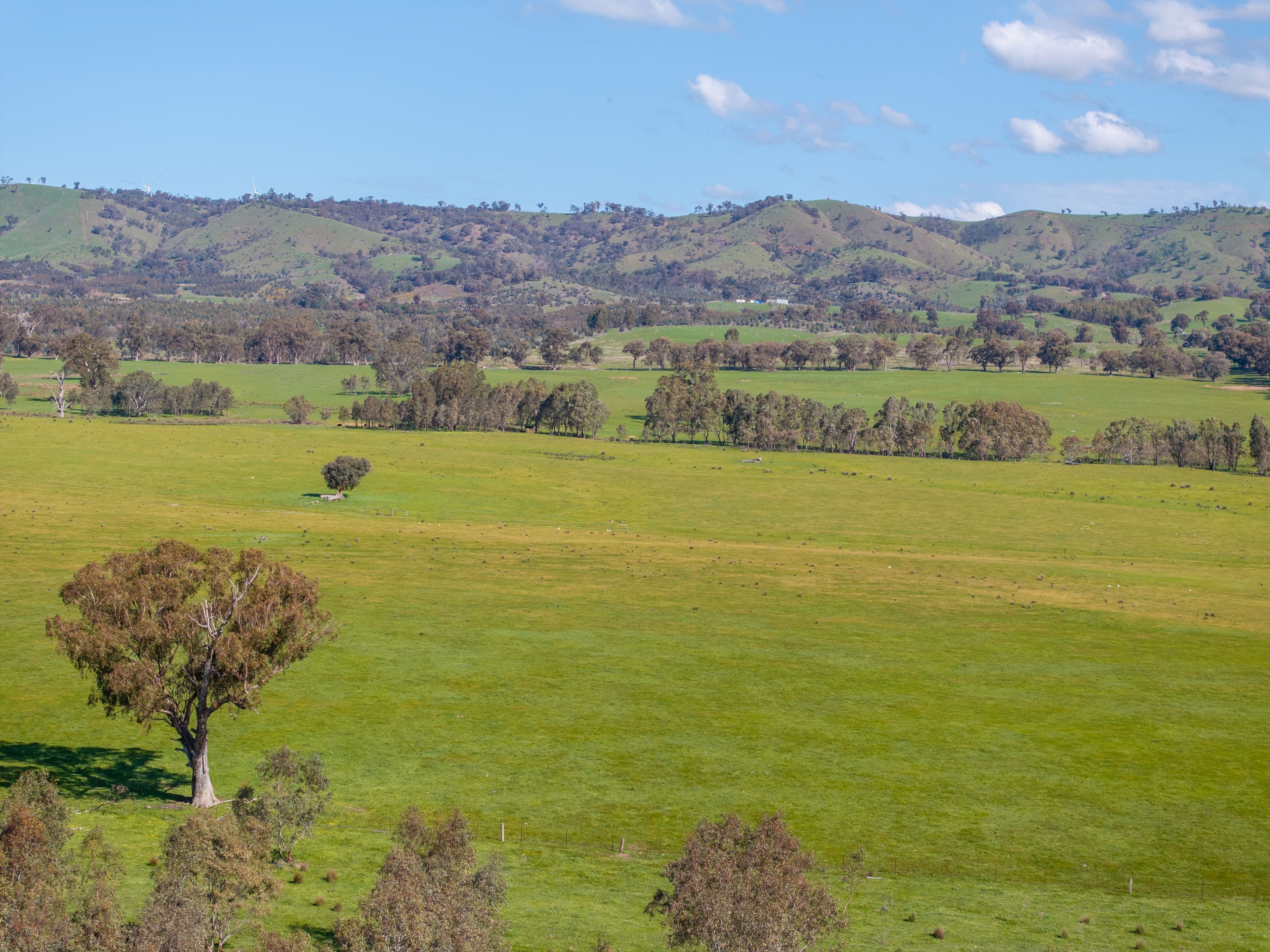 100 Wales Road , Whiteheads Creek VIC 3660, Whiteheads Creek - Thumbnail 7