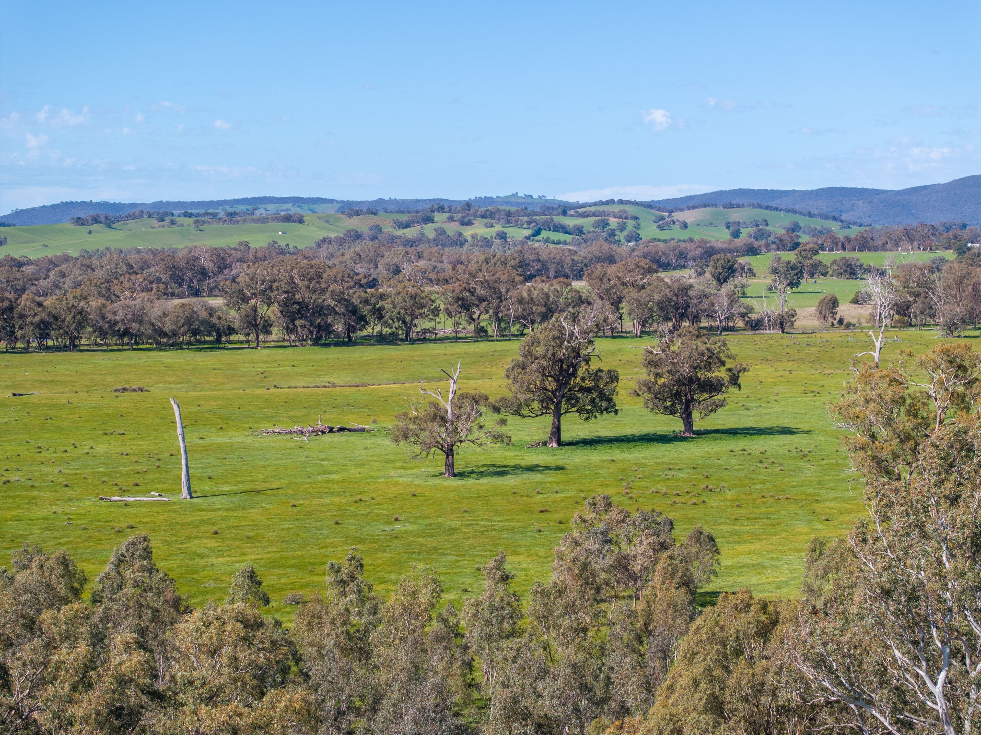 100 Wales Road , Whiteheads Creek VIC 3660, Whiteheads Creek - Thumbnail 8