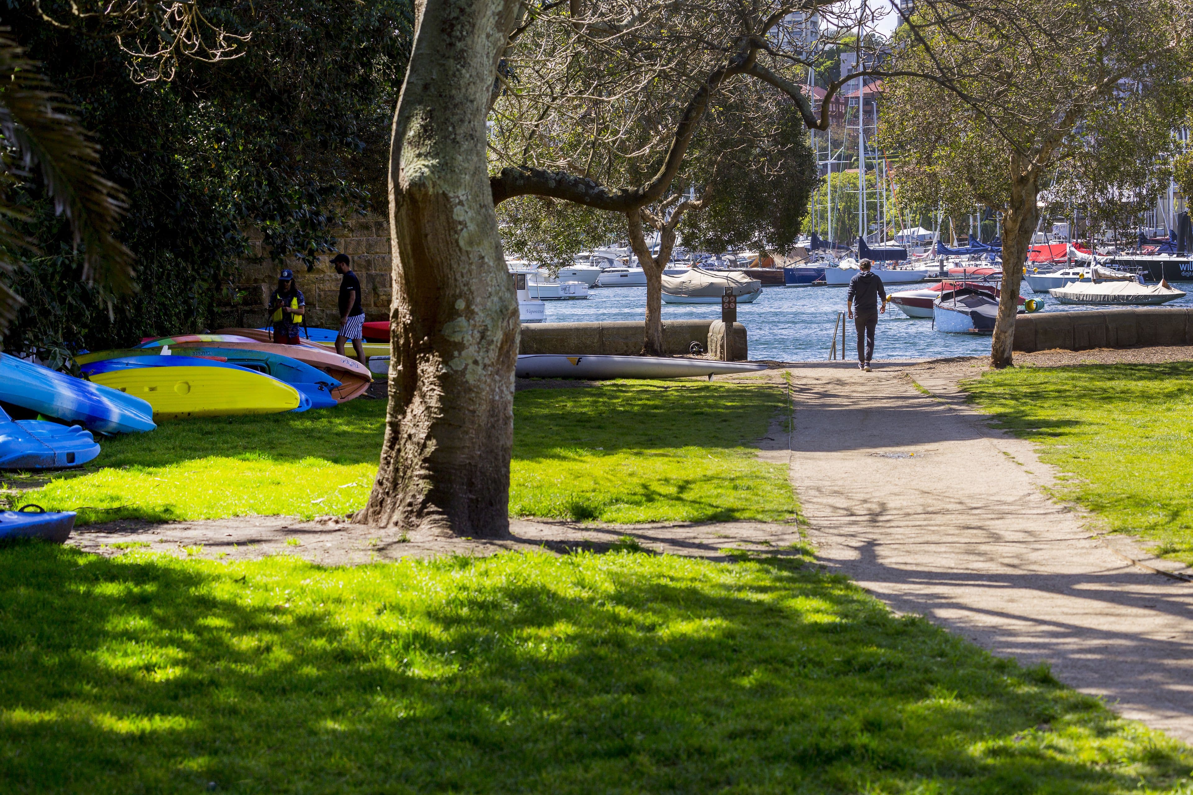 44 Bayswater Road , Rushcutters Bay NSW 2011, Rushcutters Bay - Thumbnail 8