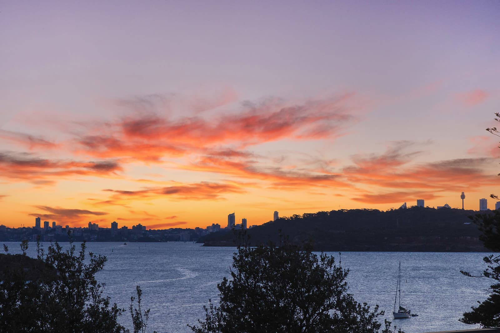 24 Spring Cove Avenue, Manly, Manly - Thumbnail 6