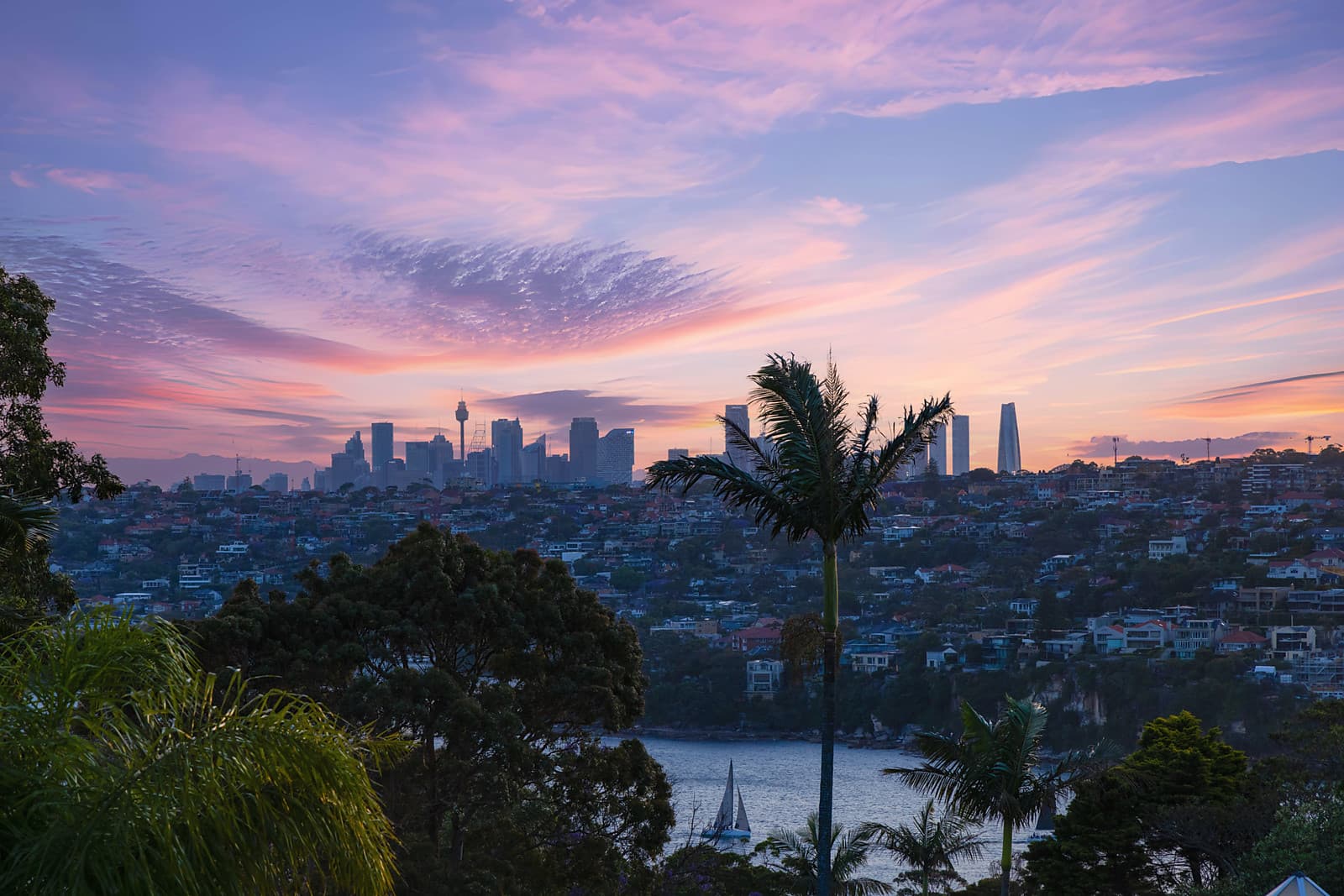 17 Willawa Street, Balgowlah Heights, Balgowlah Heights - Image 1