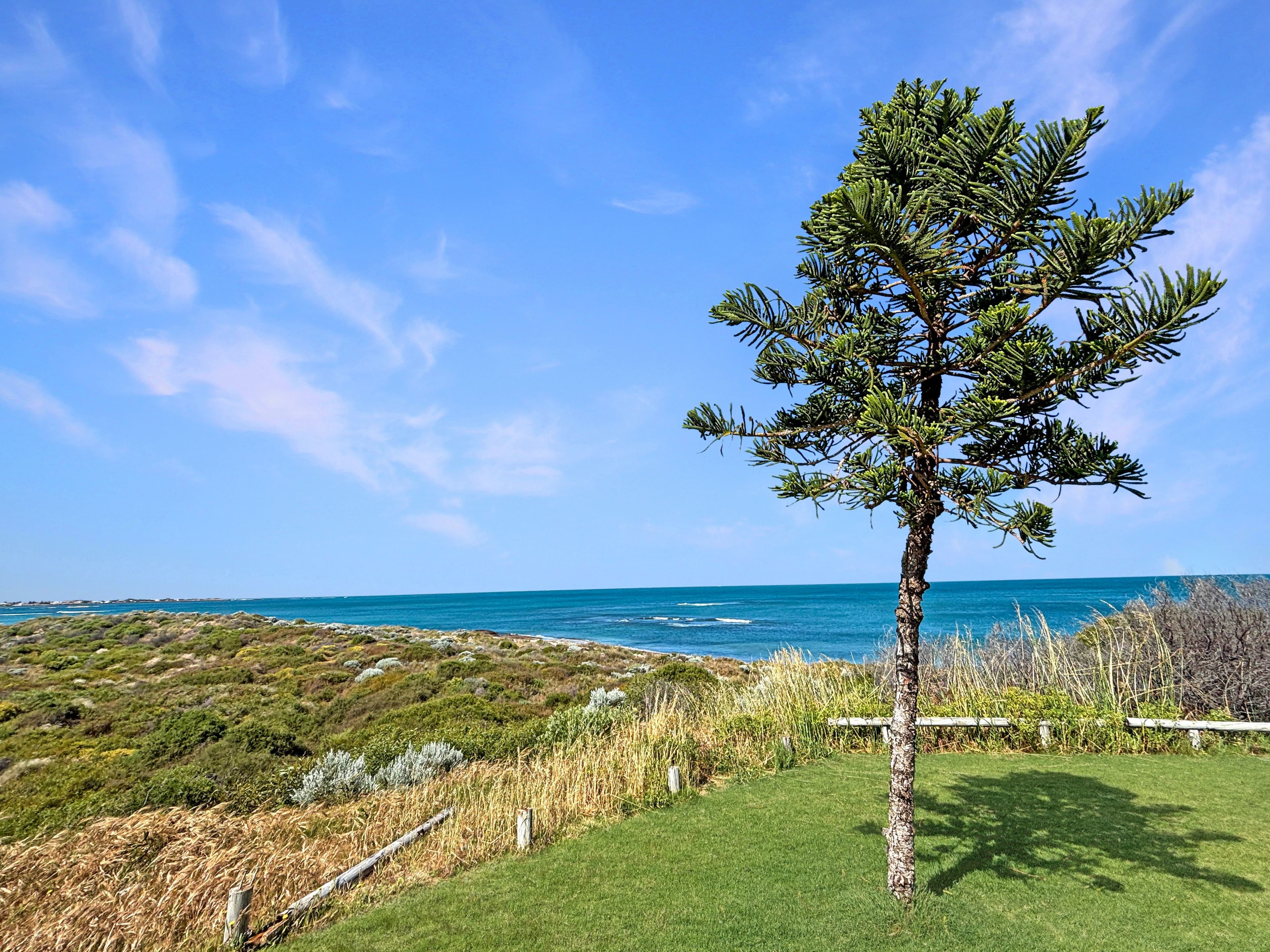 17 Grey Close , Dongara WA 6525, Dongara - Thumbnail 4