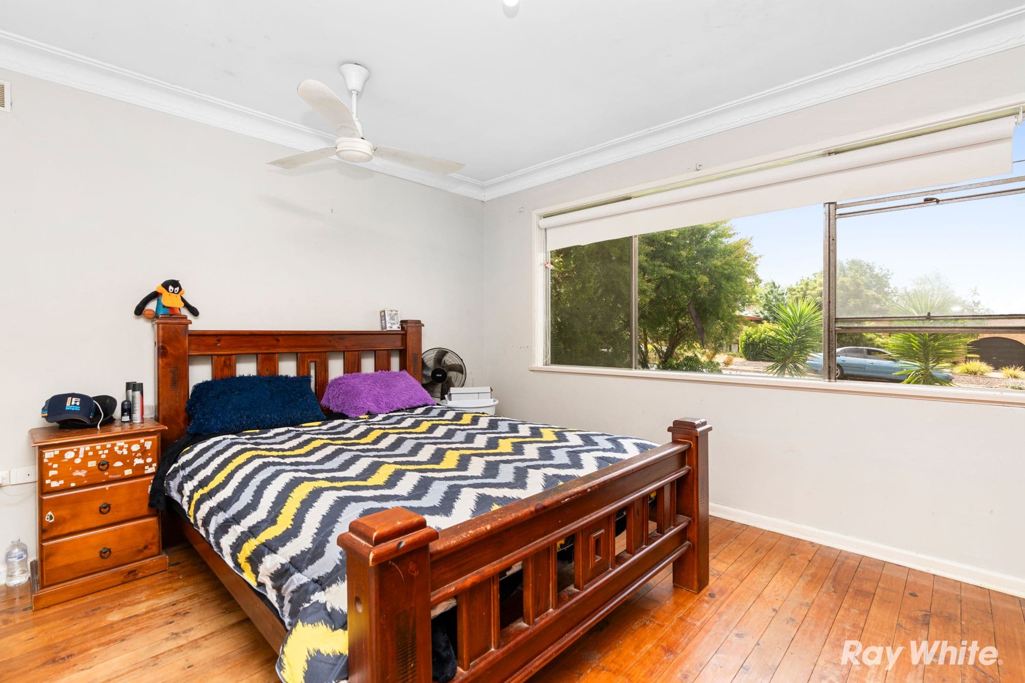 10 Alexander Street , Ashmont NSW 2650, Ashmont - Thumbnail 4