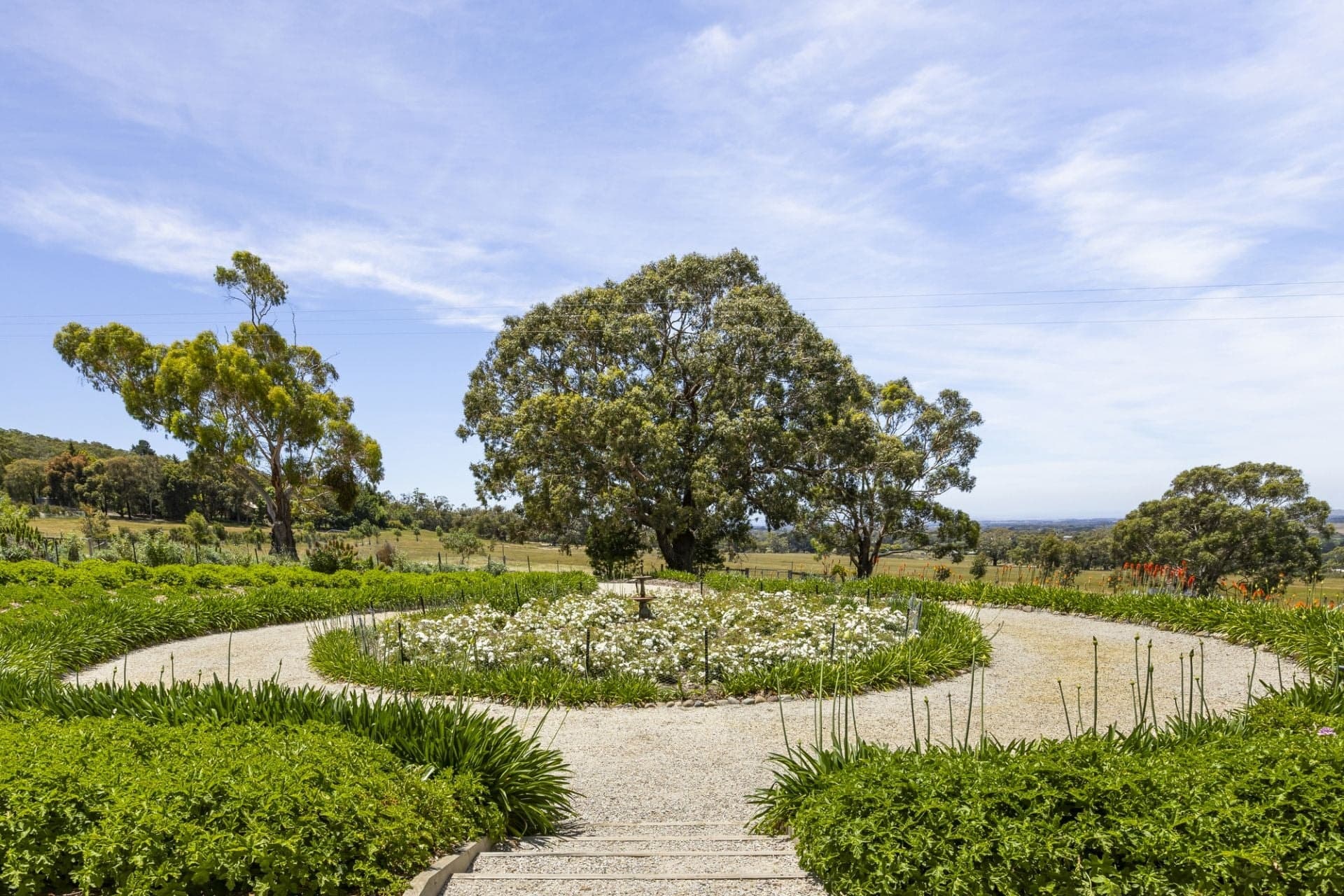 151 Wheelwrights Road, Riddells Creek, Riddells Creek - Thumbnail 3