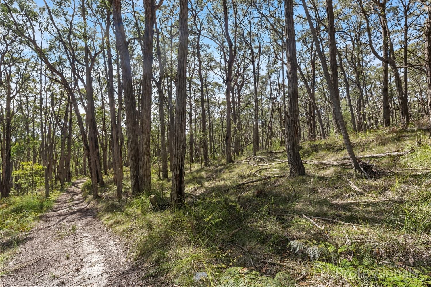 221 Milners Road, Launching Place - Thumbnail 2