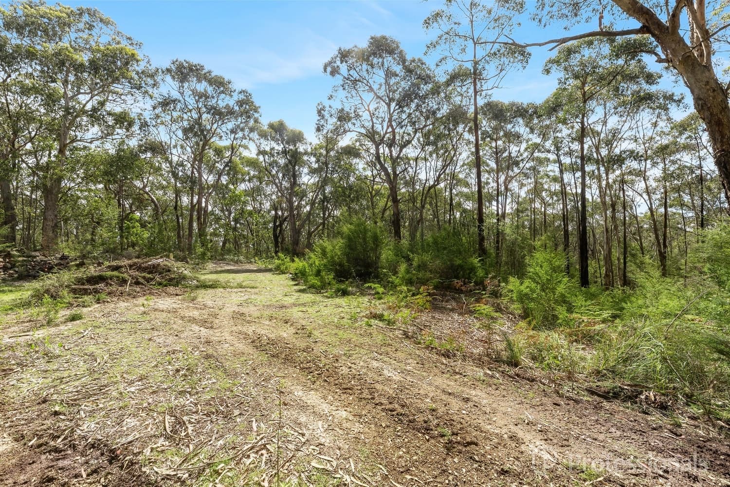 221 Milners Road, Launching Place - Thumbnail 3