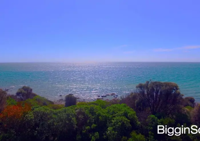 44 Jacksons Road, Mount Eliza, VIC, Mount Eliza - Thumbnail 5