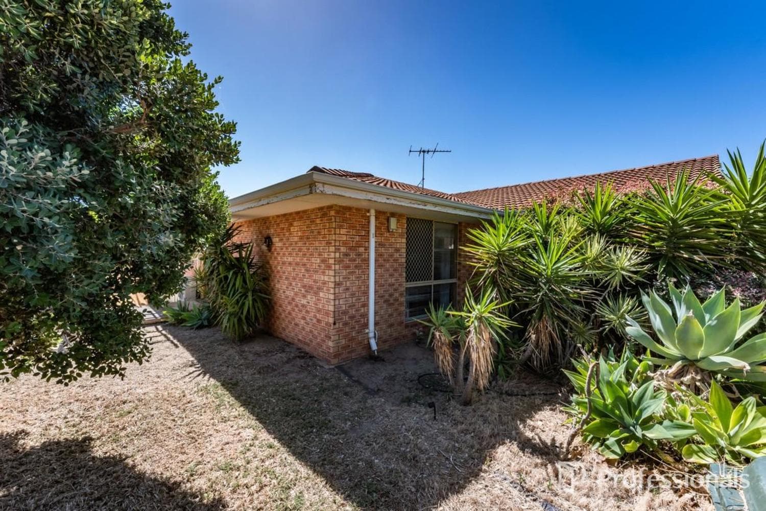 1/61 Waldeck Street, Geraldton - Image 1