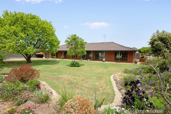 14 Worrall Court, Maryborough - Thumbnail 4