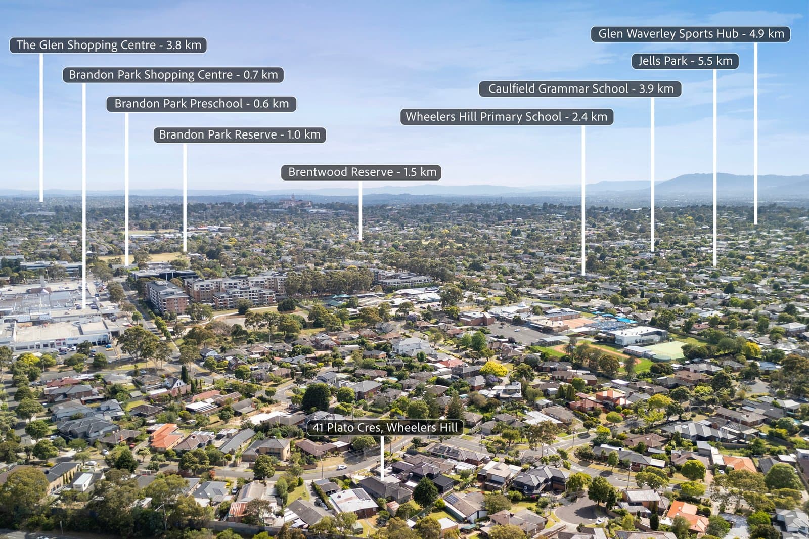 41 Plato Crescent, Wheelers Hill, Wheelers Hill - Thumbnail 2